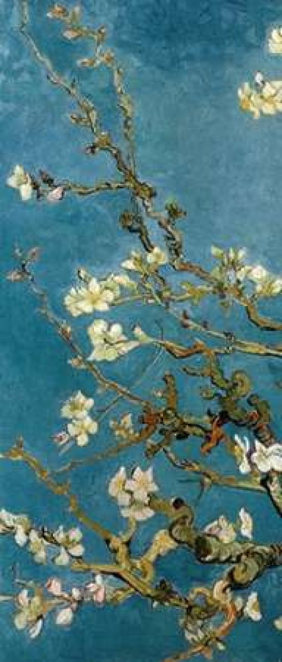 Blossoming Almond Tree - left Canvas Art - Vincent Van Gogh (10 x 20)