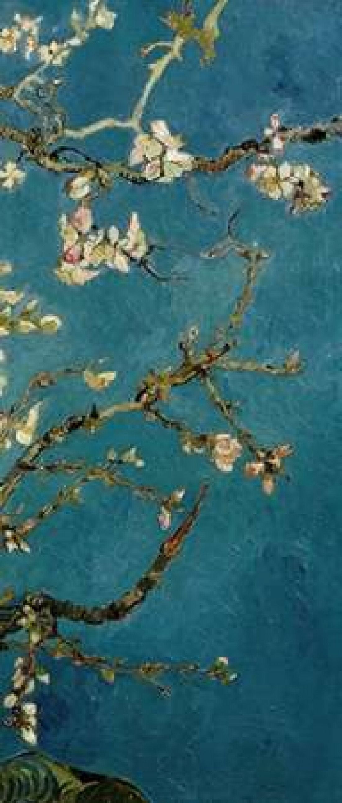 Blossoming Almond Tree - right Canvas Art - Vincent Van Gogh (24 x 48)