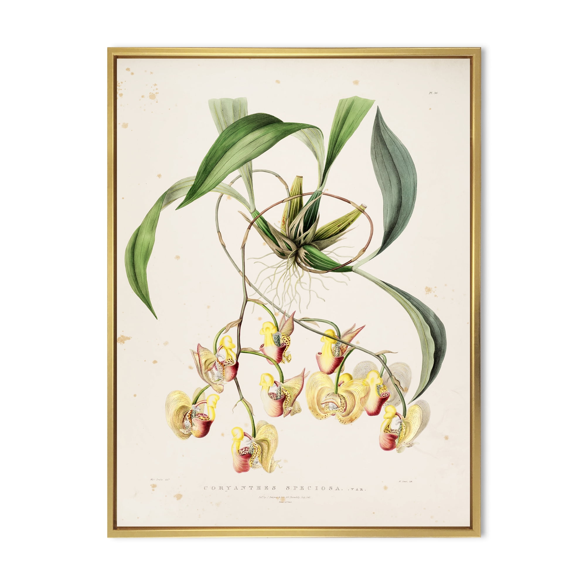 Blossoming Vintage Flower I 12 in x 20 in Framed Painting Canvas Art Print, by Designart