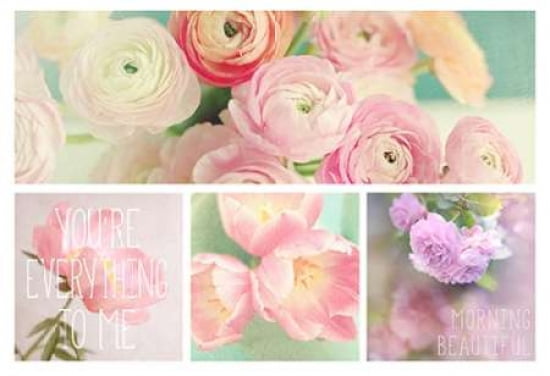 Blossoms 4 Pack Canvas Art - Sarah Gardner (20 x 28)