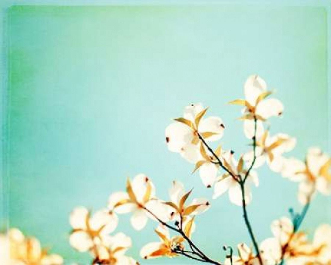 Blossoms Adrift Canvas Art - Carolyn Cochrane (24 x 30)