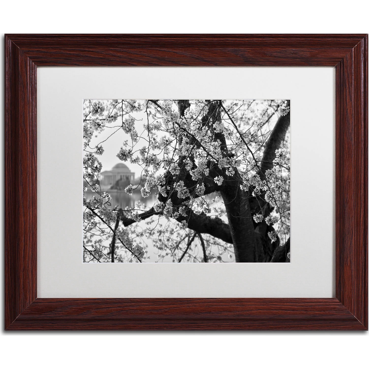 "Blossoms BW" Canvas Art by CATeyes, White Matte, Wood Frame