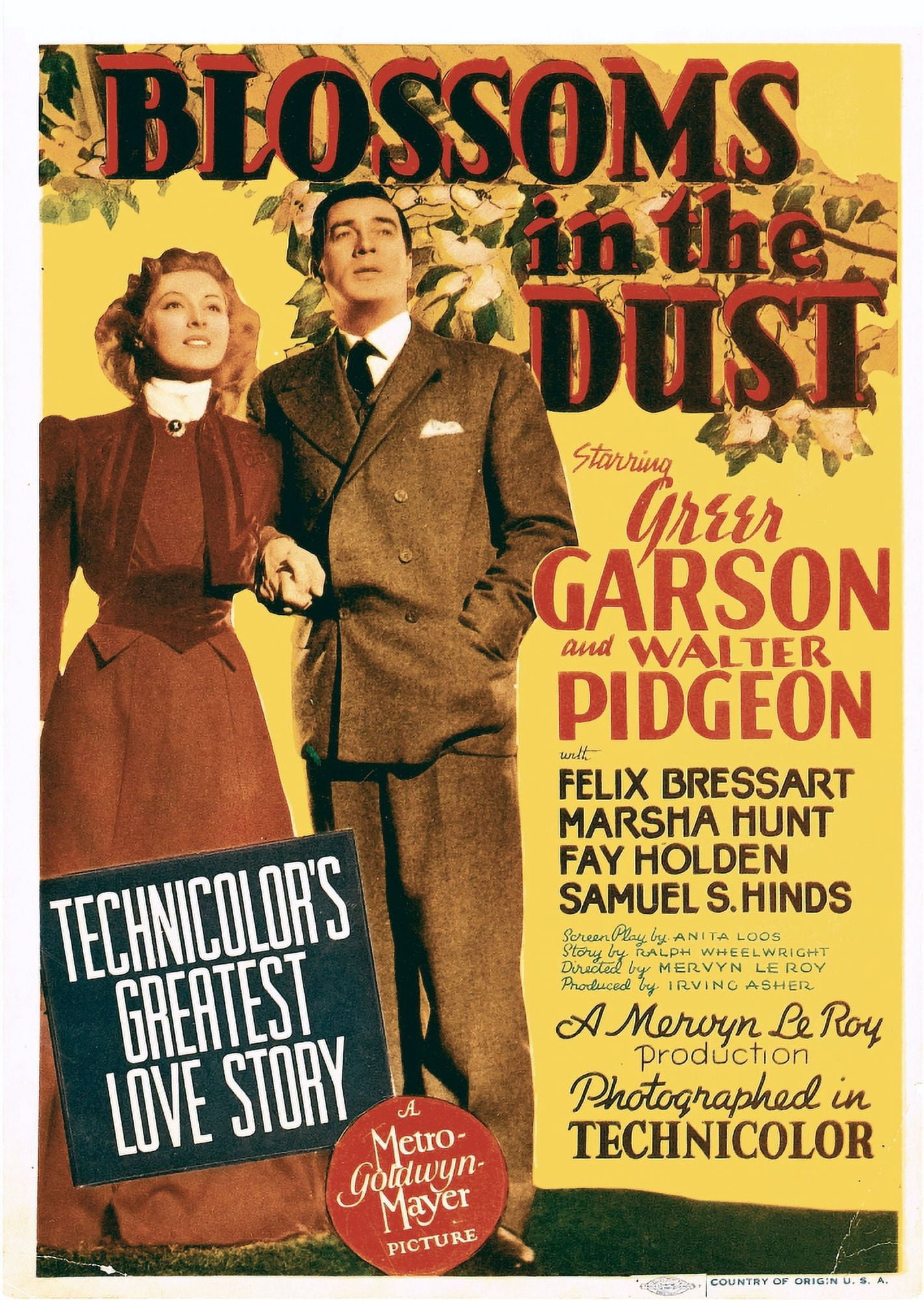 Blossoms In The Dust Canvas Art - (11 x 17)