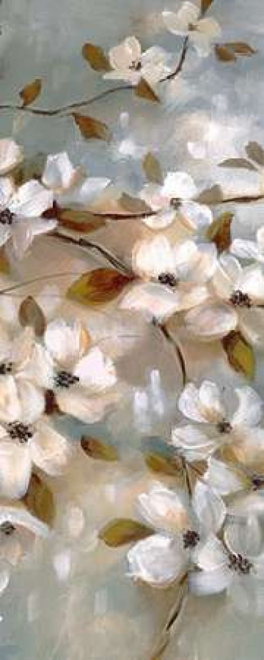 Blossoms of Spring II Canvas Art - Nan (24 x 48)