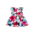 thumbnail image 1 of Blotona Baby Girl's Dress Flower Print Round Neck Ruffle Flying Sleeve Dress, 1 of 8