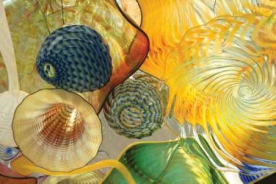 Blow Fish I Canvas Art - Maureen Love (12 x 18)