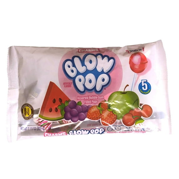 Blow Pop Assorted 5 Fun Flavors 7.15 oz Bag