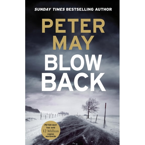 Blowback: The Exciting Penultimate Case in the Addictive Crime Series (the Enzo Files Book 5), (Paperback)
