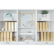 Blu Monaco Foldable Magazine File Holder with Gold Label Holder - Set of 4 - Gold