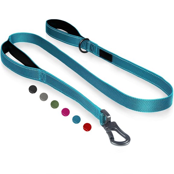 Blue 1 in x 4 ft Dog Leash with Dual Padded Handles and Auto Lock Hook