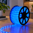 Temp Rope Plug Blue 100ft LED Rope Lights, Flexible Connectable Waterproof Outdoor ...