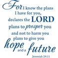 thumbnail image 1 of Blue 20" x 18" Decaltor for I Know The Plans I Have for You declares The Lord Jeremiah 29:11 Quotes Sayings Words Art Decor Lettering Vinyl Wall Art Inspirational Uplifting Bible, 1 of 1