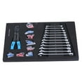 Blue 4Drawer Tool with Complete Tool Sets for Organized Garage