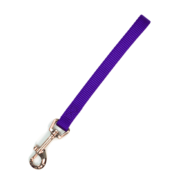 Blue-9 Dog Training Leash, 9 Inch Tab Lead for Obedience, Recall, and Agility Training, Made in The USA, Purple