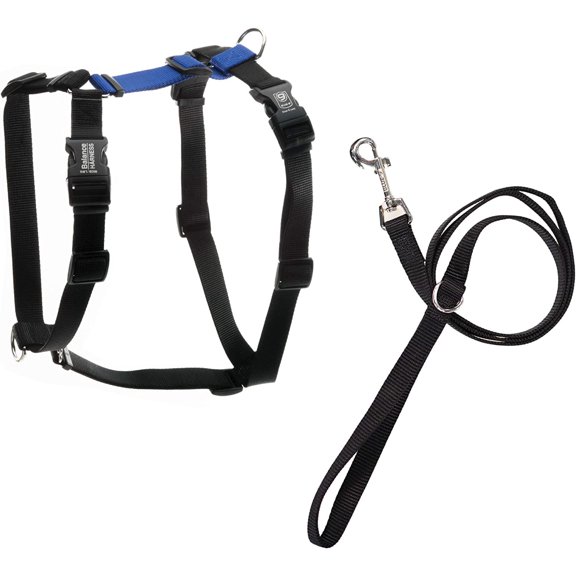 Blue-9 Pet Products No-Pull Balance Harness and Loose Leash Walking Set Dogs, Made in The USA, Blue, Large