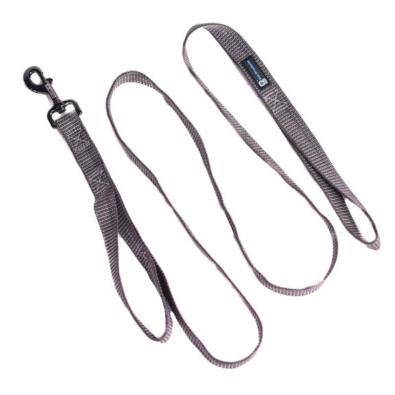 Blue-9 Reflective Dog Leash, Double Attachment 6 Foot Adjustable Lead with 3M Reflective Stitching for Obedience, Running, and Agility Training, Made in The USA, Medium/Large, Grey