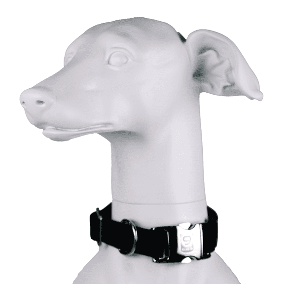 Blue-9 Secure Pro Dog Collar for Obedience, Training, and Identity, Durable and Adjustable Collar with Metal Buckle Dogs, Made in The USA, Black, Small