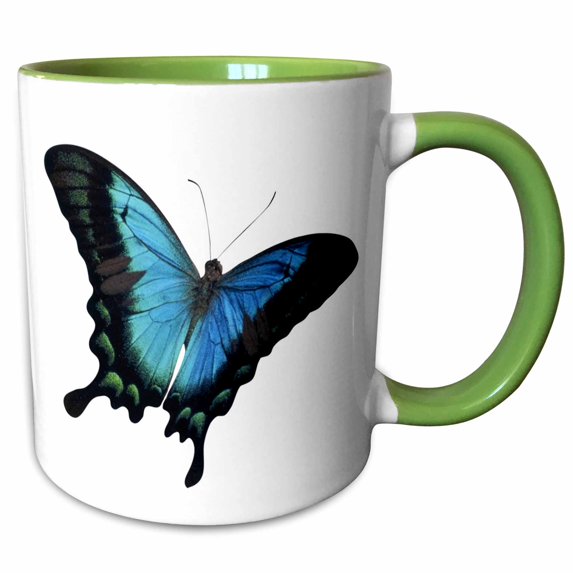 3drose, Blue and Aqua Butterfly, 11oz Two-tone Green Mug