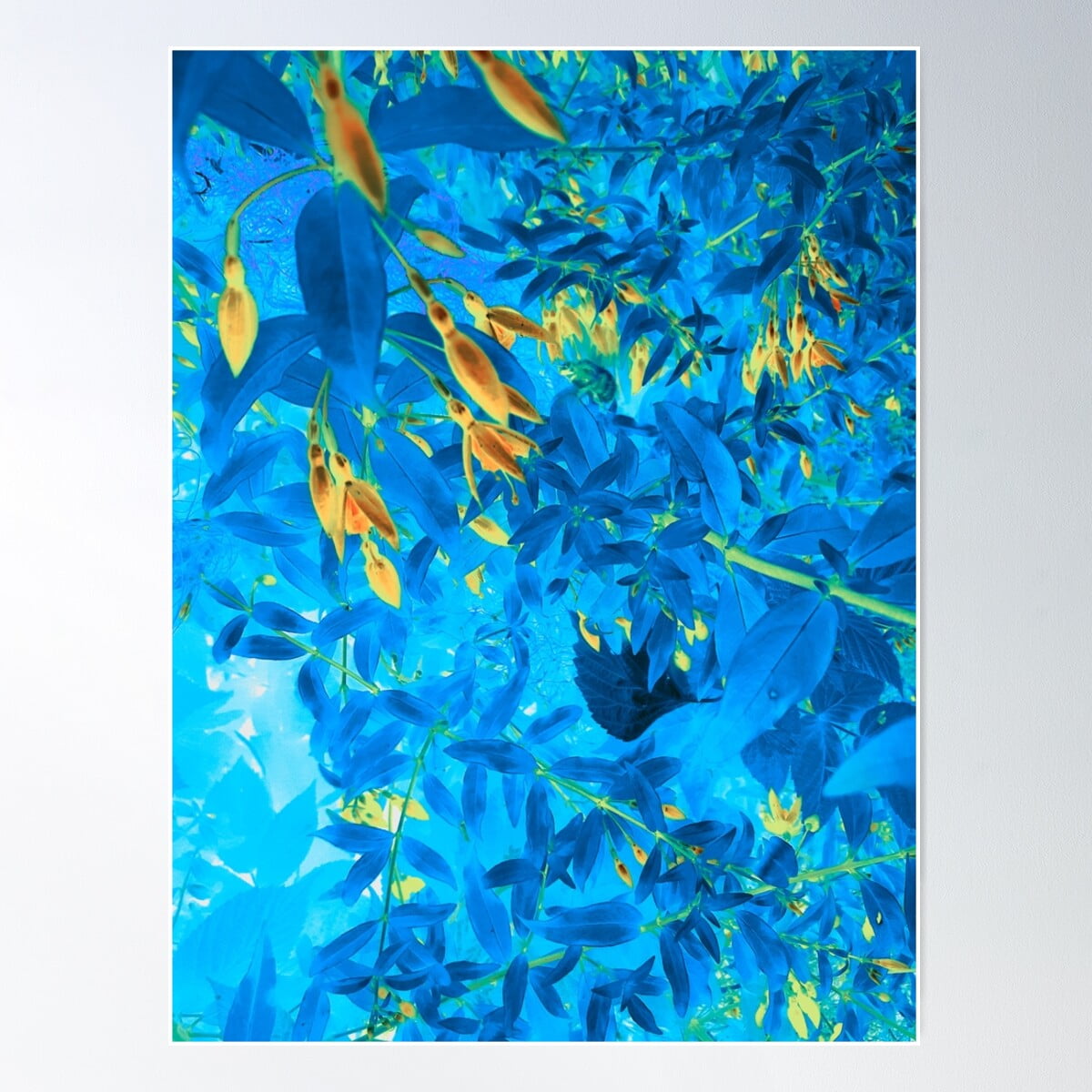 Blue And Yellow Magic Garden Poster Wall Art, Modern Wall Decor For ...