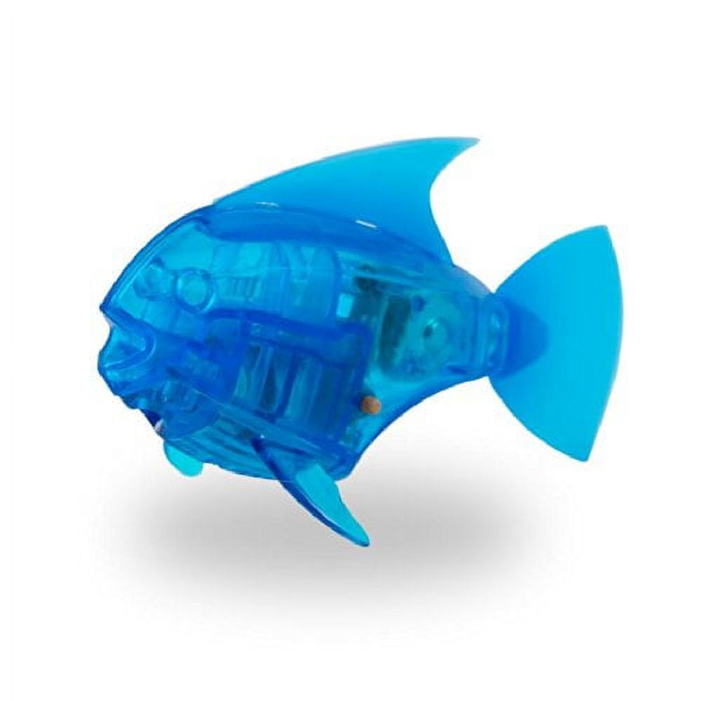 Hexbug deals fish tank
