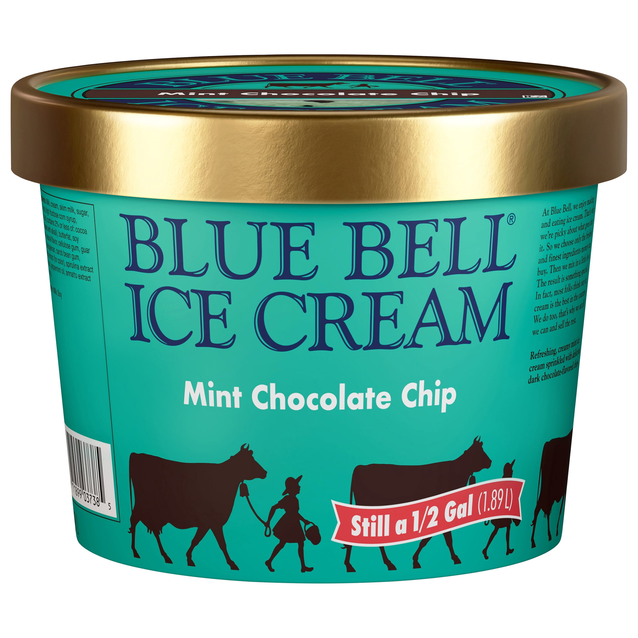 Mint Ice Cream Chocolate Chip