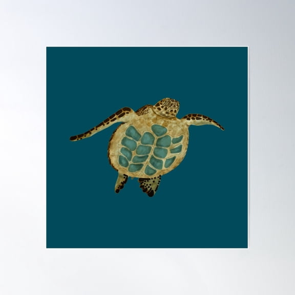 Blue Belly Sea Turtle Poster Wall Art, Modern Wall Decor For Living Room Bedroom, 30x30 UNFRAMED
