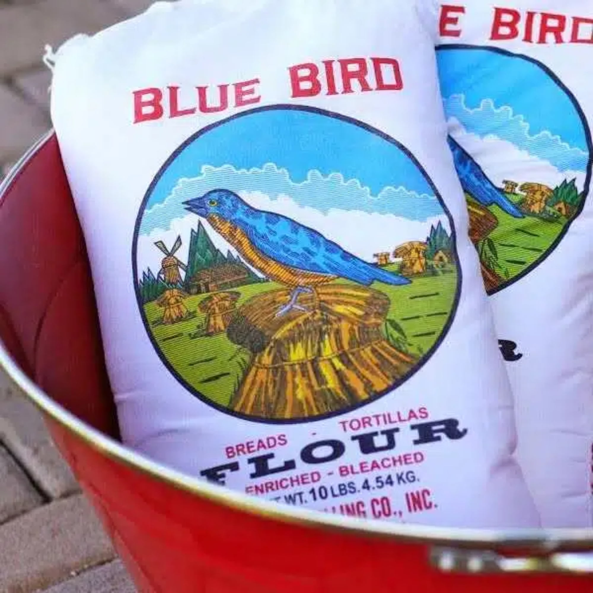 Free Shipping! Blue Bird Enriched Bleached Flour 5 lbs Wheat for Breads ...