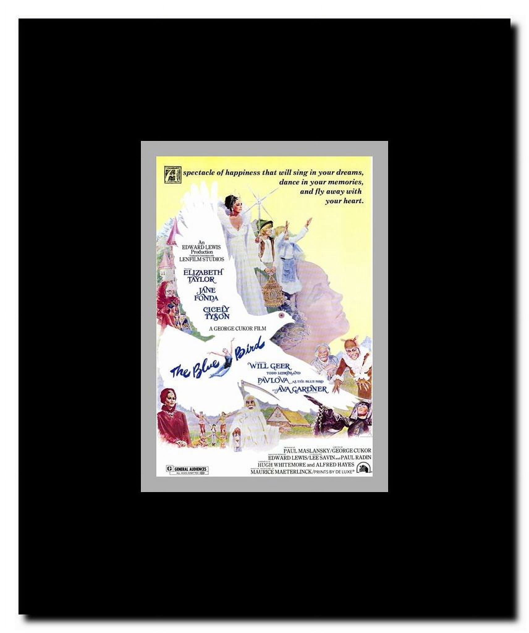 Blue Bird Framed Movie Poster