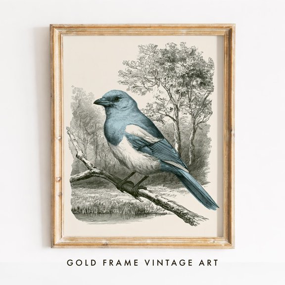 Blue Bird Print Antique Engraving Style Wall Art Cottagecore Nature Illustration Vintage Botanical