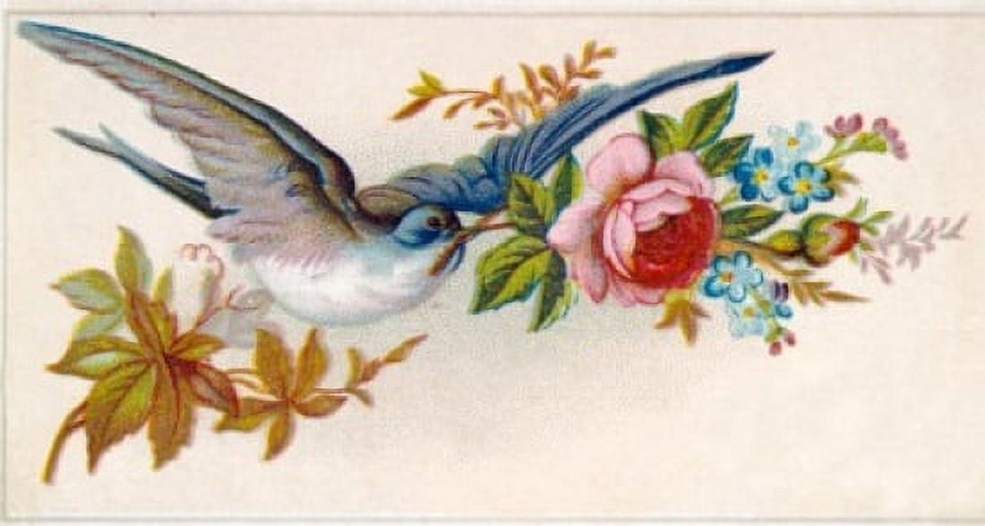 Blue Bird with Rose Nostalgia Cards Canvas Art - (18 x 24)