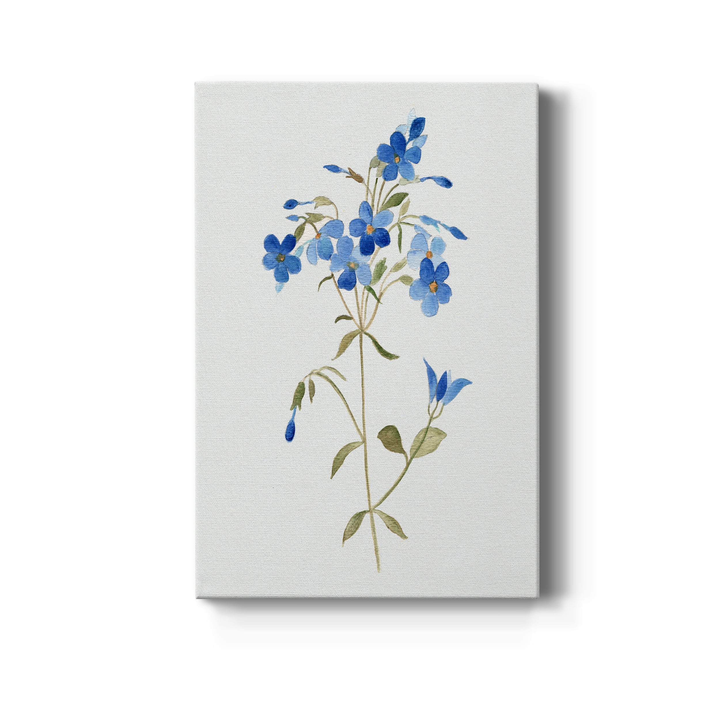 Blue Blossom Botanical II Premium Gallery Wrapped Canvas - Ready to Hang - 40 x 60