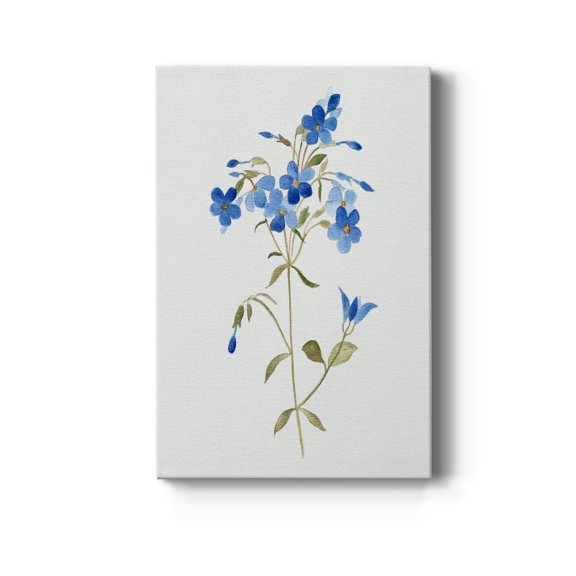 Blue Blossom Botanical II Premium Gallery Wrapped Canvas - Ready to Hang - 8 x 12