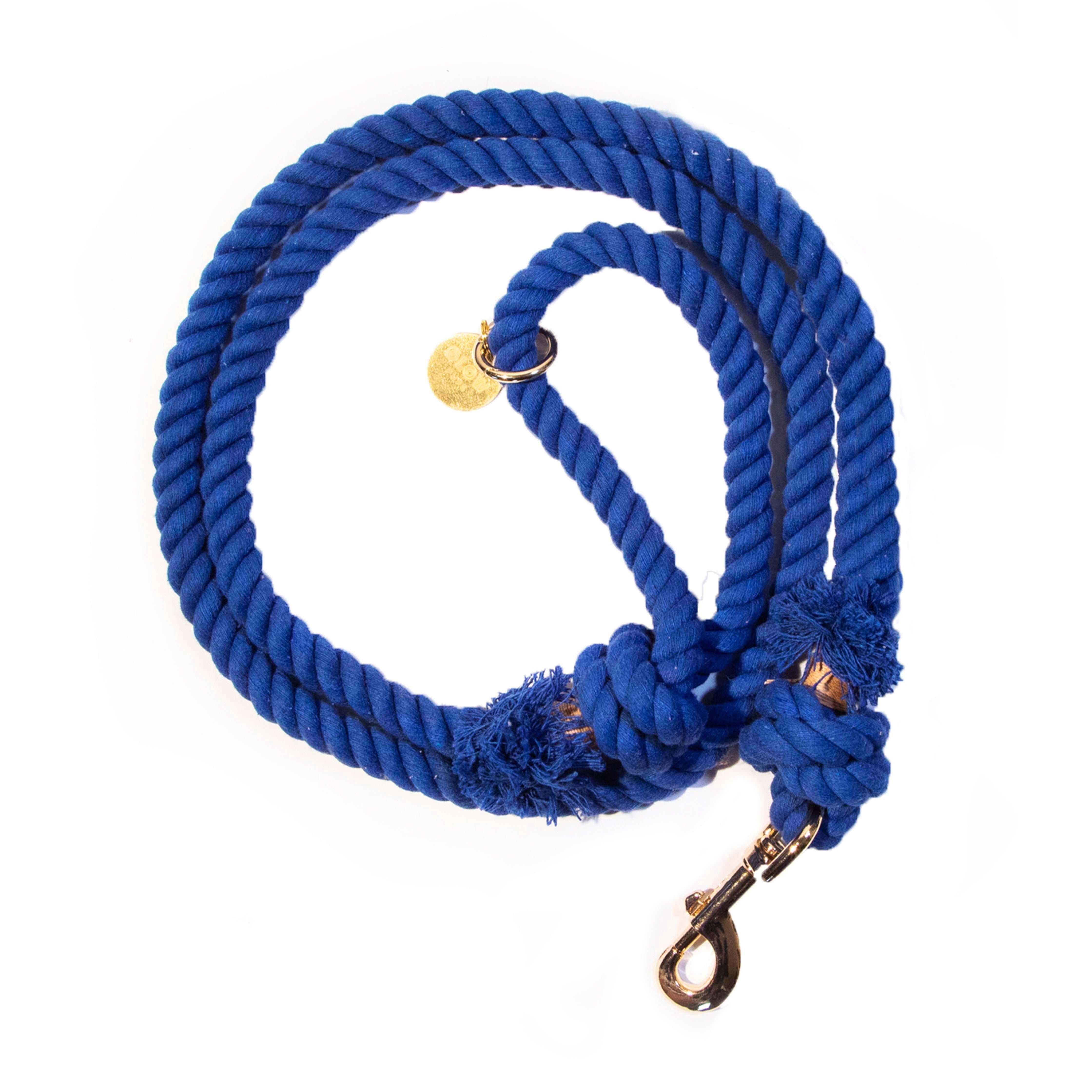 Glow Pups 5 Foot Rope Boho Chic Dog Standard Leash, Blue
