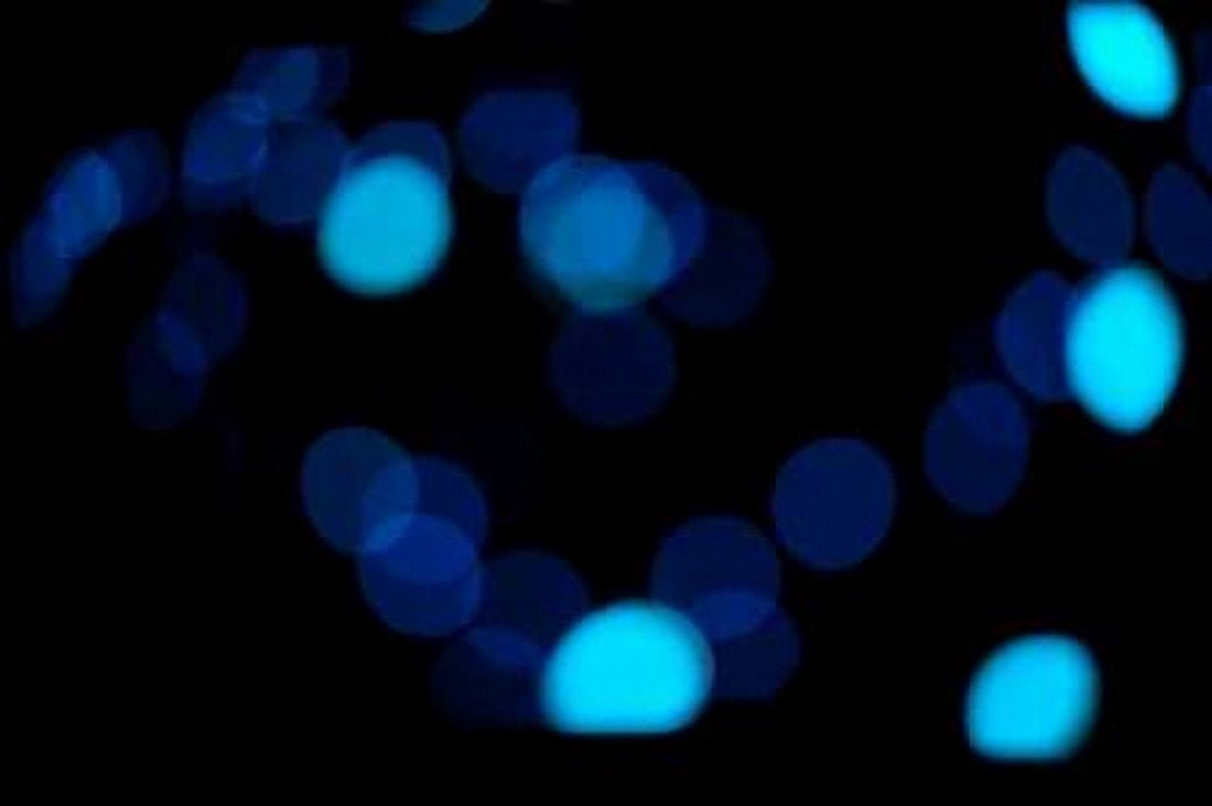 Blue Bokeh II Canvas Art - Erin Berzel (12 x 18)