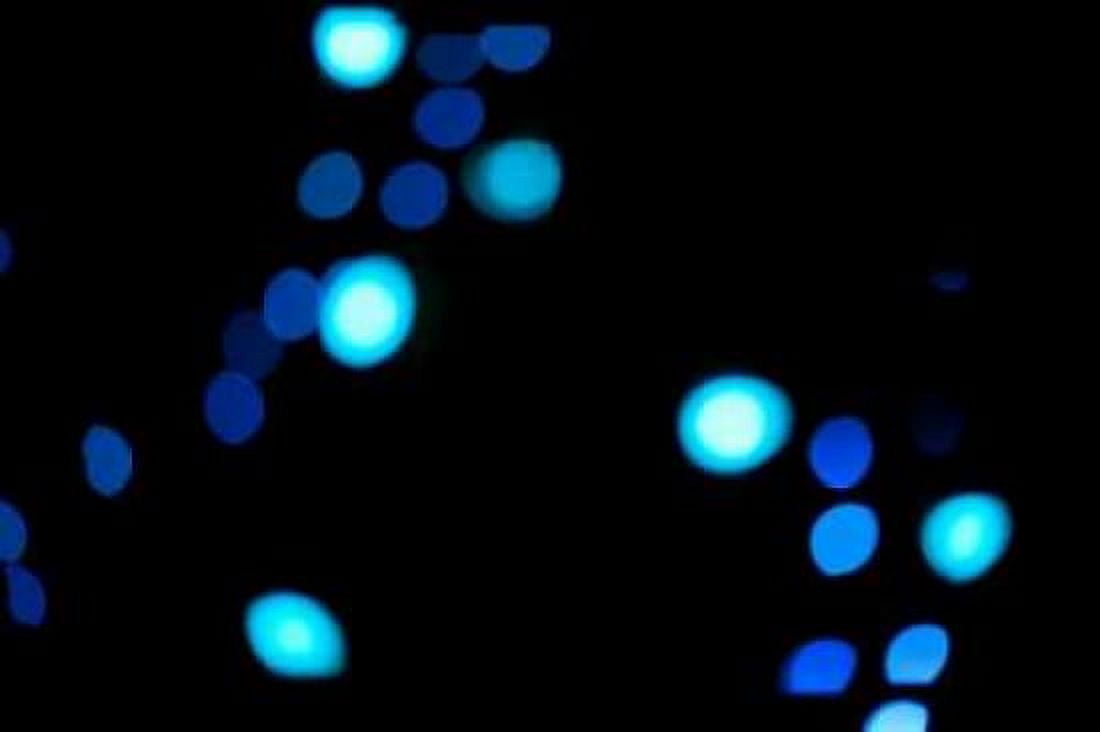 Blue Bokeh III Canvas Art - Erin Berzel (24 x 36)