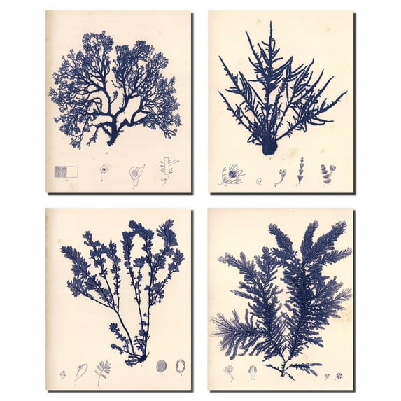 Blue Botanical I Lovely Vintage Flowers; Floral Decor; Four 8x10in Poster Prints. Blue/Cream(The smudges/imperfections are meant to Give an aged appearance)