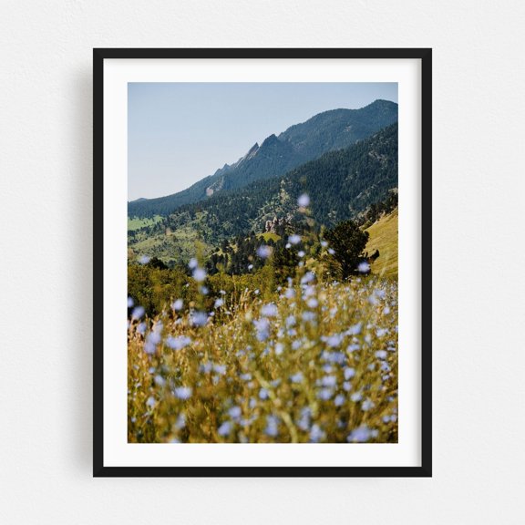 Blue Boulder Blooms - Boulder Colorado Photography Mountain Nature Landscape Flowers Scenic Wilderness Summer Black Framed Wall Art Print 5 x 7 inches