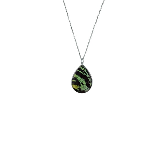 Blue Box Boutique Rhodium Plated Madagascan Sunset Moth Pendant Real Butterfly Necklace for Women, Teens