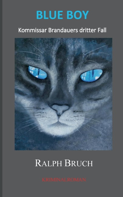 Blue Boy: Kommissar Brandauers dritter Fall, (Paperback)