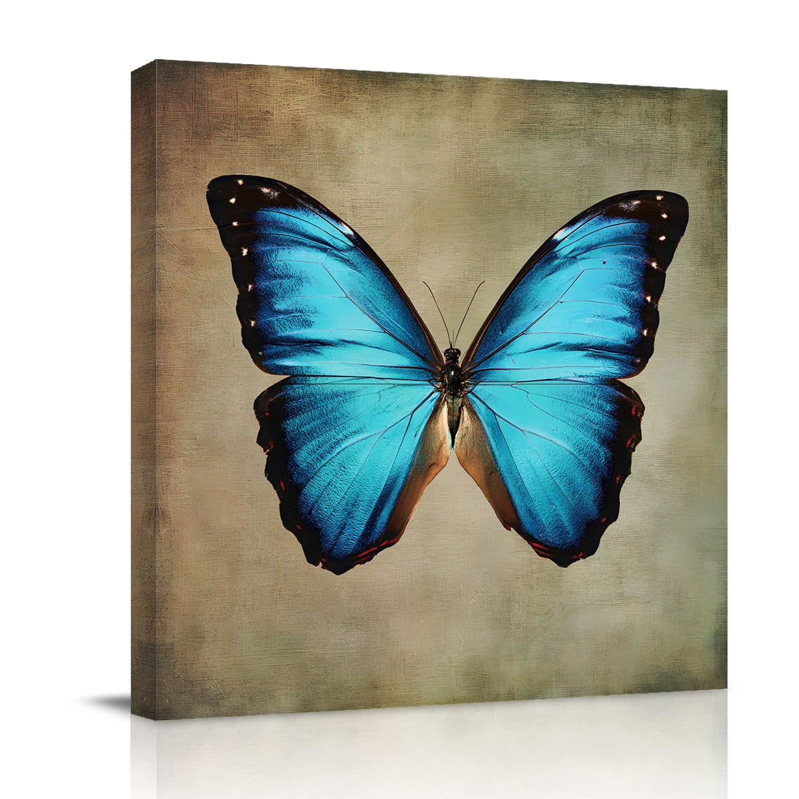 Blue Butterfly Canvas Wall Art for Living Room, Vintage Brown Retro Bug ...