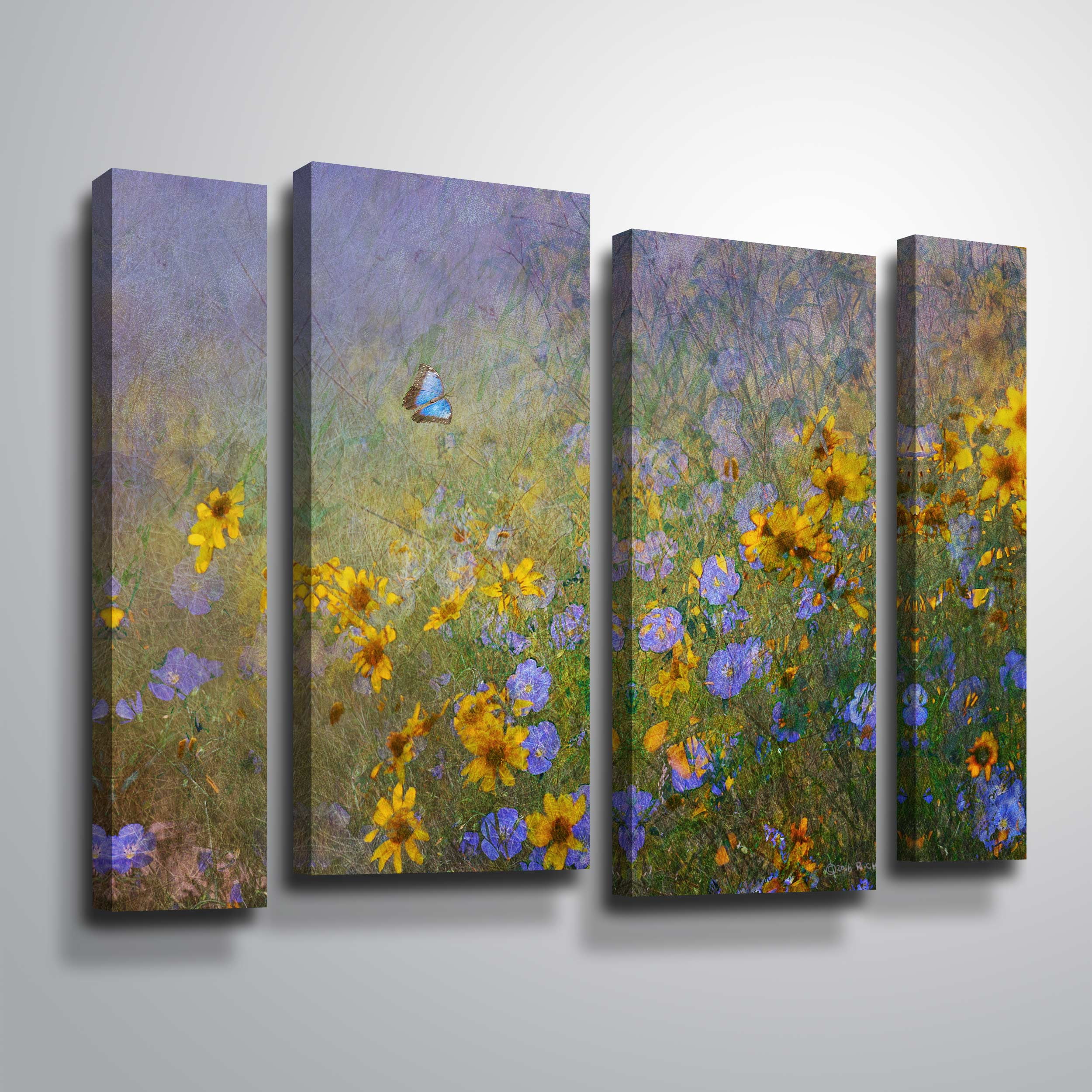 Blue Butterfly Flowers