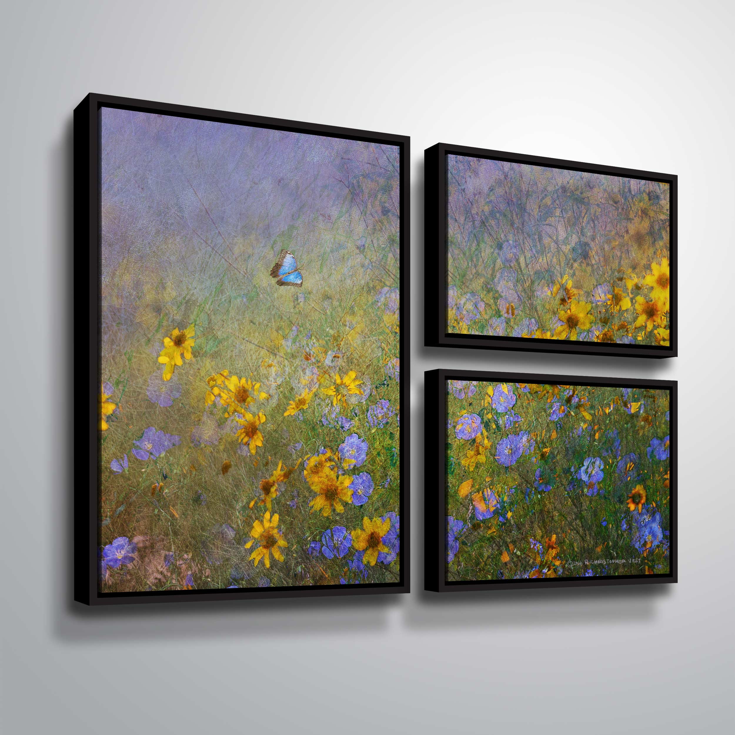 Blue Butterfly Flowers