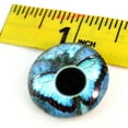 thumbnail image 1 of Blue Butterfly Glass Eyes, 1 of 5