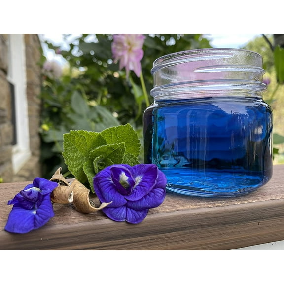 Blue Butterfly Pea Tea Seeds Double Flowered Premium Seeds Packet