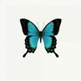 thumbnail image 1 of Blue Butterfly Poster Print by PhotoINC Studio (12 x 12), 1 of 2