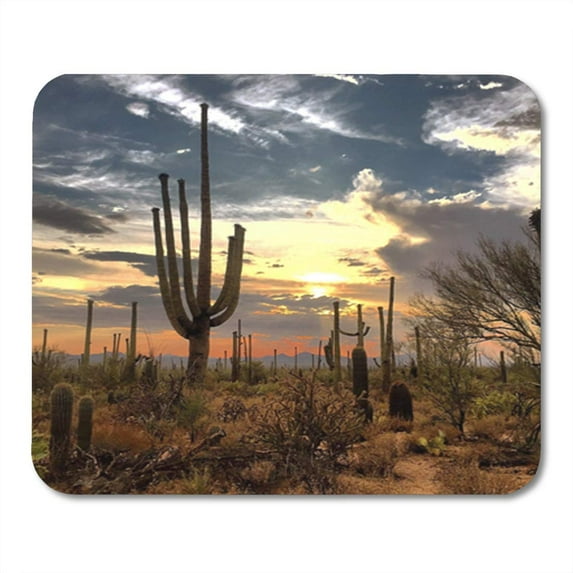 Blue Cactus Desert Landscape Red Arid Arizona Cacti Clouds Mousepad Mouse Pad Mouse Mat 9x10 inch