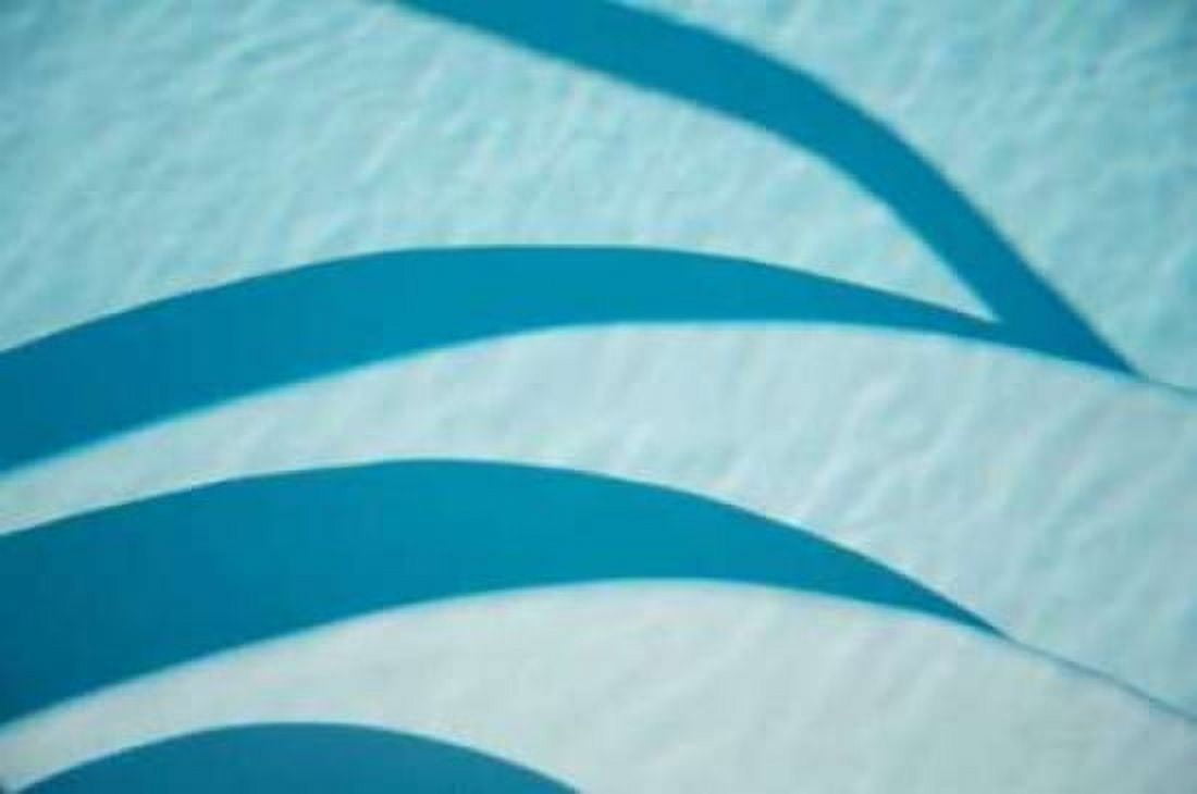 Blue Canvas Art - Karyn Millet (24 x 36)