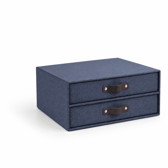 Blue Canvas Fiberboard 2-Drawer Desktop Document Storage Box