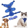 thumbnail image 1 of Blue Cat Harness and Leash Set Adjustable Escape Proof Vest Breathable Mesh Reflective Pet Harness with Lead for Cats Kittens Puppies Small Dogs Outdoor Walking Training M Size, 1 of 9