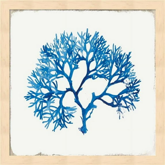 Blue Coral II by Aimee Wilson, Framed Wall Art, 13.25W x 13.25H